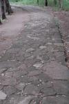 Uʐ^Ao 2006.06.10 200_3225 800 2006.06.10 lG̐XE