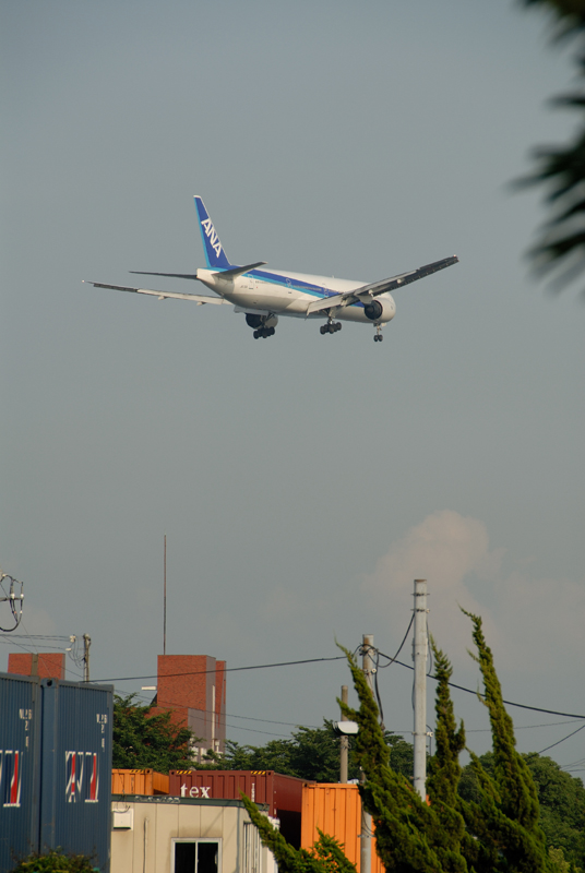 Uʐ^Ao f-2006.06.19-200_5458-800.jpg 2006.06.19<BR>쓇