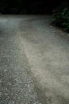 Uʐ^Ao 2006.07.09 200_6877 2006.07.09 ׉ԉ