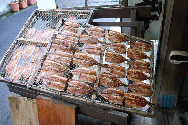 Uʐ^Ao f-2006.12.03-R0010730.jpg 2006.12.02-03<BR>EԑEc