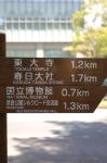 2007.04.29_05.01 0001 お散歩写真アルバム 2007.04.29-05.01 奈良