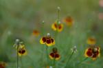 2007.10.13 0001 お散歩写真アルバム 2007.10.13 熱海 D2Xs AF28mmF1.4D