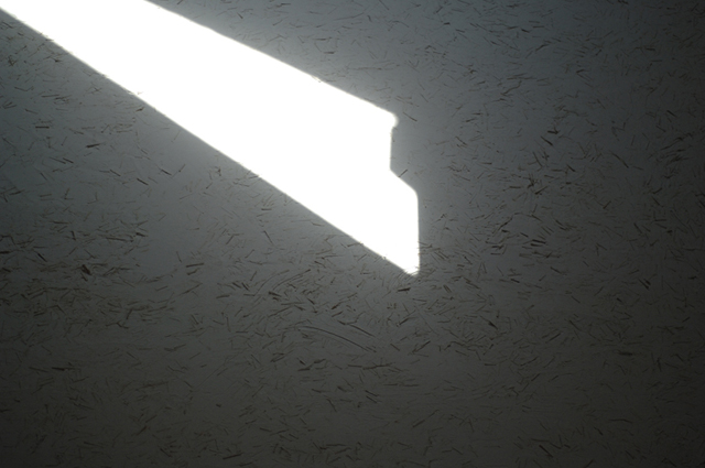 Uʐ^Ao f-2007.10.20-1014.jpg 2007.10.20<BR>lEV<BR>D2Xs AF50mmF1.4D