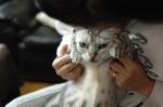2007.11.04 0001 お散歩写真アルバム 2007.11.04 家 D2Xs AF35mmF2D