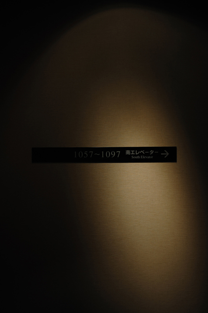 お散歩写真アルバム f-2008.04.30-05.21D-1003.jpg 2008.04.30-05.21<BR>京都<BR>D3 AF50mmF1.4D