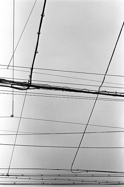 Uʐ^Ao f-2008.04.30-05.21F-0015.jpg 2008.04.30-05.21<BR>s<BR>F2 Ai50mmF1.8S<BR>400TX D76 1:1