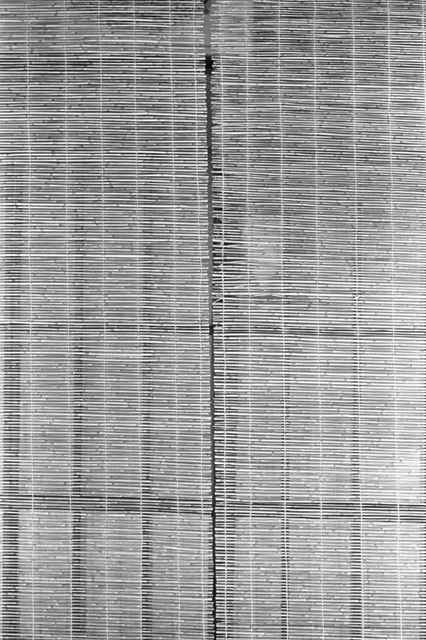 Uʐ^Ao f-2008.04.30-05.21F-0020.jpg 2008.04.30-05.21<BR>s<BR>F2 Ai50mmF1.8S<BR>400TX D76 1:1