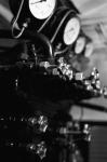 2008.05.30F2SP 1001 お散歩写真アルバム 2008.05.30 箱根 F2 50mmF1.8S SP S50mmF1.4 400TX D76 1:1