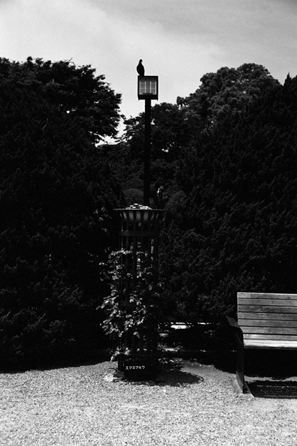 Uʐ^Ao f-2008.06.14SP-BW400CN-1012.jpg 2008.06.14<BR><BR>SP S50mmF1.4 BW400CN
