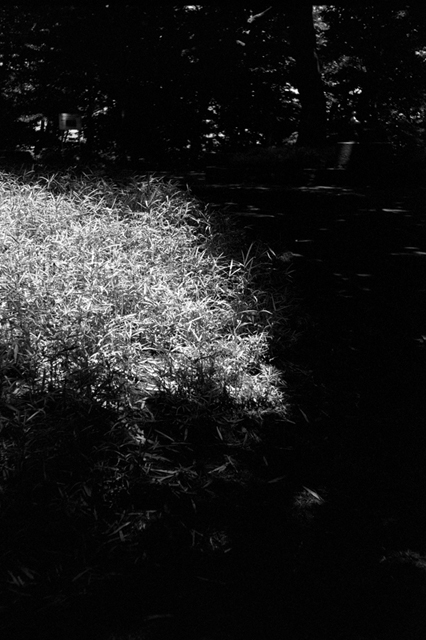 Uʐ^Ao f-2008.06.14SP-BW400CN-1014.jpg 2008.06.14<BR><BR>SP S50mmF1.4 BW400CN