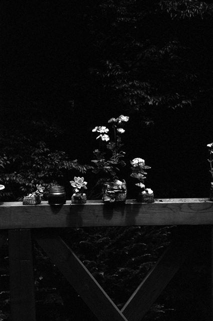 Uʐ^Ao f-2008.07.13-SP-BW400CN-1005.jpg 2008.07.13<BR><BR>SP S50mmF1.4<BR>BW400CN