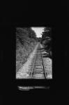 2008.07.13 SP BW400CN 1001 お散歩写真アルバム 2008.07.13 小淵沢 SP S50mmF1.4 BW400CN