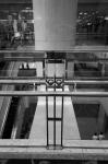 Uʐ^Ao 2008.07.26 27 GR1v 3 Acros100 3015 2008.07.26-27 l GR1v Venus400 Acros100 D76 1:1