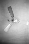 2008.08.13 GR1v ACROS100 3001 お散歩写真アルバム 2008.08.13 横浜 GR1v ACROS100 D76 1:1