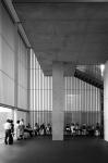 Uʐ^Ao 2008.08.14 GR1v ACROS100 2002 2008.08.14  GR1v ACROS100 D76 1:1