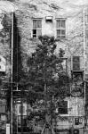 Uʐ^Ao 2009.07.11 F5 ACROS100 Ai50mmF1.4S 007 2009.07.11 l F5 50/1.4S ACROS100 D76 1:1