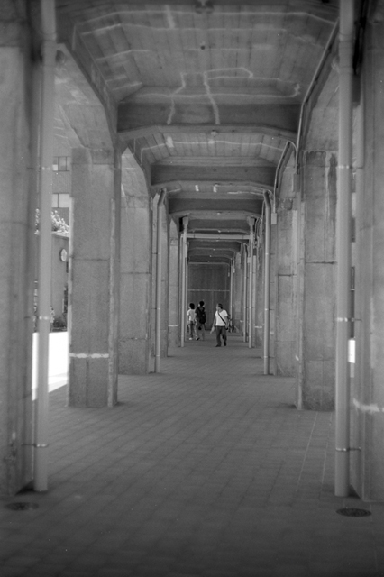 Uʐ^Ao f-2009.07.26Yokohama-IIIf-Summicron50mmF2-ACROS100-019.jpg 2009.07.26<BR>l<BR>Vf Summicron50/2<BR>ACROS100 D76 1:1