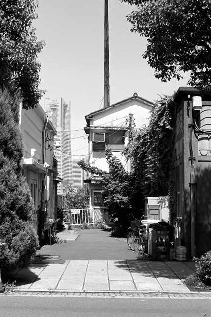 Uʐ^Ao f-2009.07.26Yokohama-IIIf-Summicron50mmF2-ACROS100-025.jpg 2009.07.26<BR>l<BR>Vf Summicron50/2<BR>ACROS100 D76 1:1