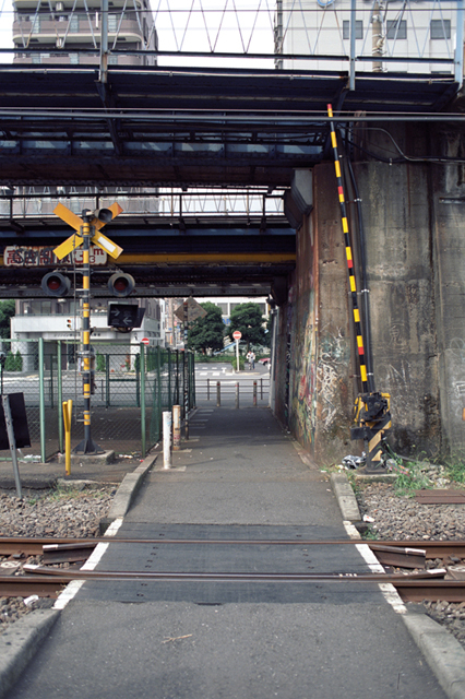 Uʐ^Ao f-2009.08.30Yokohama-IIIf-Summicron50mmF2-EKTAR100-108.jpg 2009.08.30<BR>l<BR>F2 35/2S<BR>Ektar100