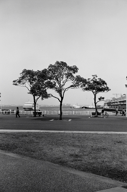 Uʐ^Ao f-2009.09.19Yokohama-IIIf-Summaron35mmF3.5-ACROS100-010.jpg 2009.09.19<BR>l<BR>Vf Summaron35/3.5<BR>ACROS100 D76 1:1