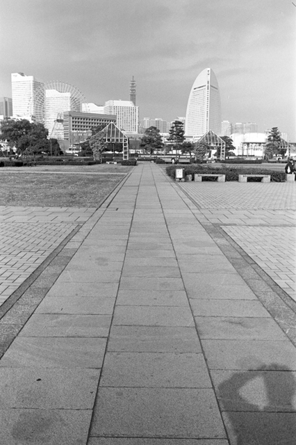 Uʐ^Ao f-2009.11.08Yokohama-IIIf-Summicron35mmF2-ACROS100-113.jpg 2009.11.08<BR>l<BR>Vf Summicron35/2<BR>ACROS100 D76 1:1