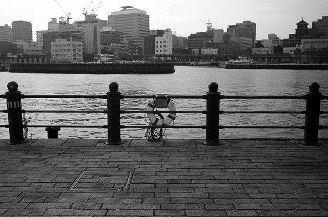 Uʐ^Ao f-2009.11.08Yokohama-IIIf-Summicron35mmF2-ACROS100-208.jpg 2009.11.08<BR>l<BR>Vf Summicron35/2<BR>ACROS100 D76 1:1