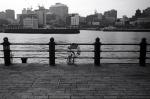 Uʐ^Ao 2009.11.08Yokohama IIIf Summicron35mmF2 ACROS100 208 2009.11.08 l Vf Summicron35/2 ACROS100 D76 1:1