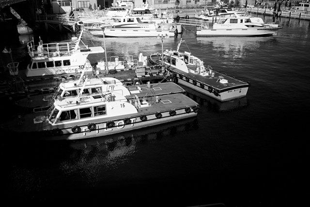 Uʐ^Ao f-2009.11.15Yokohama-IIIf-Summicron35mmF2-Y2-ACROS100-001.jpg 2009.11.15<BR>l<BR>Vf Summicron35/2 Y2<BR>ACROS100 D76 1:1