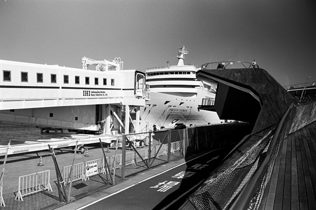 Uʐ^Ao f-2009.11.15Yokohama-IIIf-Summicron35mmF2-Y2-ACROS100-004.jpg 2009.11.15<BR>l<BR>Vf Summicron35/2 Y2<BR>ACROS100 D76 1:1