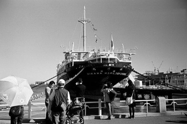 Uʐ^Ao f-2009.11.15Yokohama-IIIf-Summicron35mmF2-Y2-ACROS100-011.jpg 2009.11.15<BR>l<BR>Vf Summicron35/2 Y2<BR>ACROS100 D76 1:1