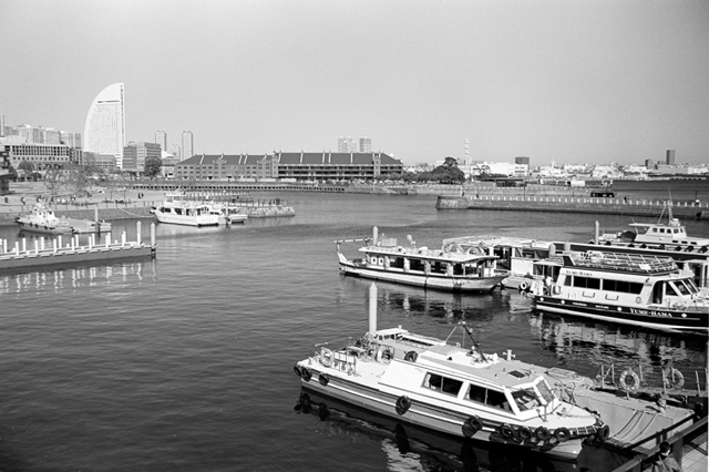 Uʐ^Ao f-2009.11.15Yokohama-IIIf-Summicron35mmF2-Y2-ACROS100-016.jpg 2009.11.15<BR>l<BR>Vf Summicron35/2 Y2<BR>ACROS100 D76 1:1