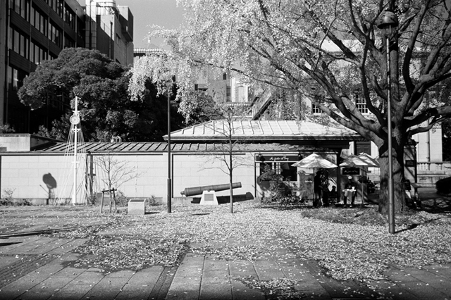 Uʐ^Ao f-2009.11.15Yokohama-IIIf-Summicron35mmF2-Y2-ACROS100-020.jpg 2009.11.15<BR>l<BR>Vf Summicron35/2 Y2<BR>ACROS100 D76 1:1