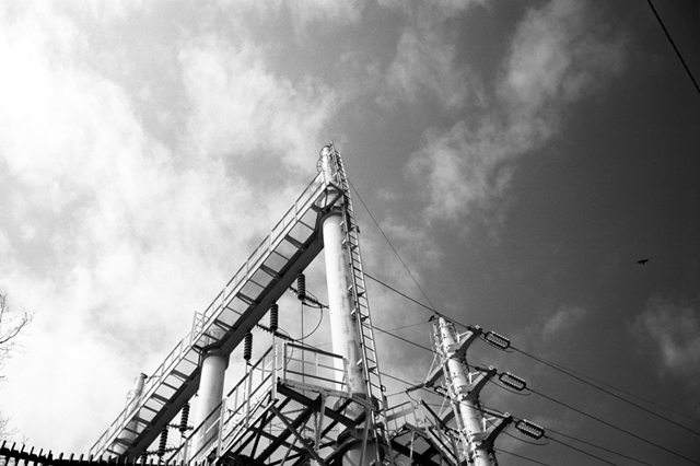 Uʐ^Ao f-2010.02.14Yokohama-IIIf-Summaron35mmF3.5-Y2-ACROS100-004.jpg 2010.02.14<BR>l<BR>Vf Summaron35/3.5<BR>Y2 ACROS100 D76 1:1