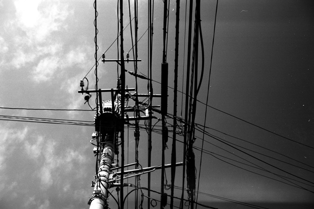 Uʐ^Ao f-2010.02.14Yokohama-IIIf-Summaron35mmF3.5-Y2-ACROS100-019.jpg 2010.02.14<BR>l<BR>Vf Summaron35/3.5<BR>Y2 ACROS100 D76 1:1