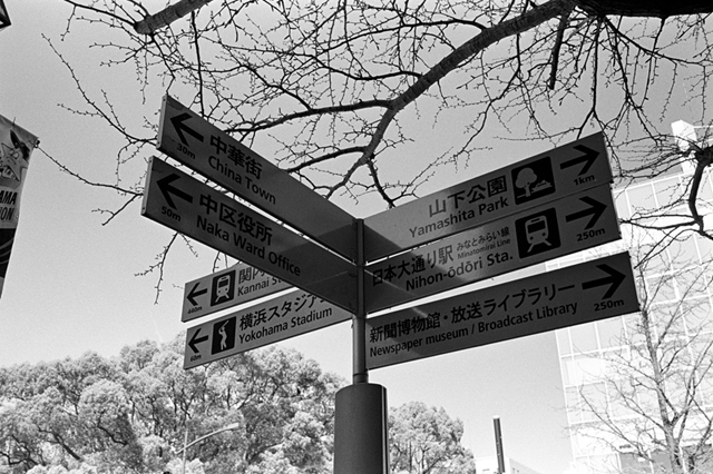 Uʐ^Ao f-2010.04.18Yokohama-Ikon-Biogon35mmF2.8-Y2-400TX-305.jpg 2010.04.18<BR>l<BR>IKON Biogon35/2.8<BR>Y2 400TX D76 1:1