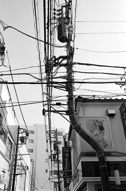 Uʐ^Ao f-2010.04.18Yokohama-Ikon-Biogon35mmF2.8-Y2-400TX-320.jpg 2010.04.18<BR>l<BR>IKON Biogon35/2.8<BR>Y2 400TX D76 1:1