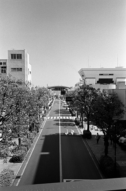 Uʐ^Ao f-2010.04.18Yokohama-Ikon-Biogon35mmF2.8-Y2-400TX-325.jpg 2010.04.18<BR>l<BR>IKON Biogon35/2.8<BR>Y2 400TX D76 1:1