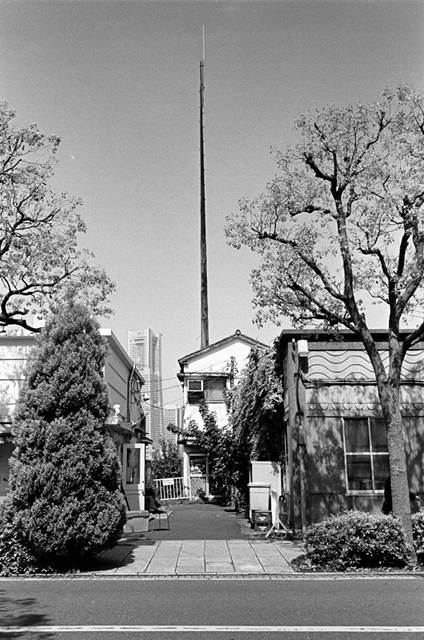 Uʐ^Ao f-2010.04.18Yokohama-Ikon-Biogon35mmF2.8-Y2-400TX-331.jpg 2010.04.18<BR>l<BR>IKON Biogon35/2.8<BR>Y2 400TX D76 1:1