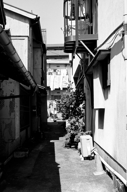 Uʐ^Ao f-2010.04.25Tsurumi-Namamugi-Ikon-Biogon35mmF2.8-ACROS100-036.jpg 2010.04.25<BR>ߌE<BR>IKON Biogon35/2.8<BR>ACROS100 D76 1:1