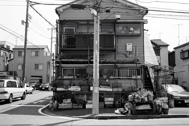 Uʐ^Ao f-2010.05.02Tsurumi-Asano-Ikon-Biogon35mmF2.8-ACROS100-103.jpg 2010.05.02-04<BR>ߌEEqE_ސ<BR>IKON Biogon35/2.8<BR>ACROS100 D76 1:1