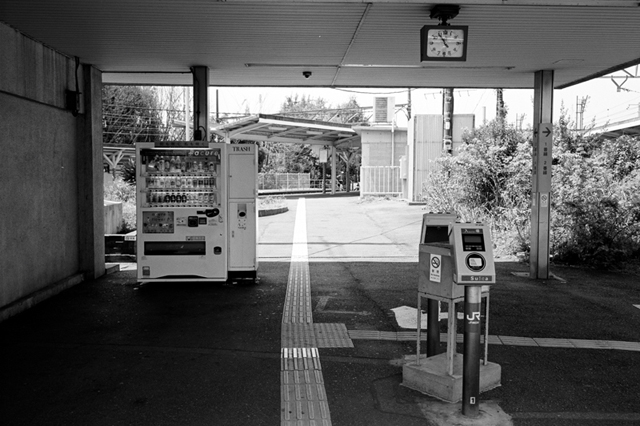 Uʐ^Ao f-2010.05.02Tsurumi-Asano-Ikon-Biogon35mmF2.8-ACROS100-109.jpg 2010.05.02-04<BR>ߌEEqE_ސ<BR>IKON Biogon35/2.8<BR>ACROS100 D76 1:1