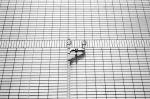 Uʐ^Ao 2010.05.04Koyasu Kanagawa Ikon Biogon35mmF2.8 ACROS100 109 2010.05.02-04 ߌEEqE_ސ IKON Biogon35/2.8 ACROS100 D76 1:1