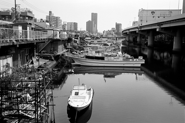 Uʐ^Ao f-2010.05.09Kanagawashinmachi-Shinkoyasu-Ikon-Biogon35mmF2.8-ACROS100-004.jpg 2010.05.09<BR>_ސVEVq<BR>IKON Biogon35/2.8<BR>ACROS100 D76 1:1