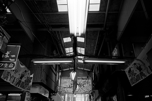 Uʐ^Ao f-2010.06.12Rokkakubashi-Ikon-GR28mmF2.8-400TX-020.jpg 2010.06.12<BR>Zp<BR>IKON GR28/2.8<BR>400TX D76 1:1