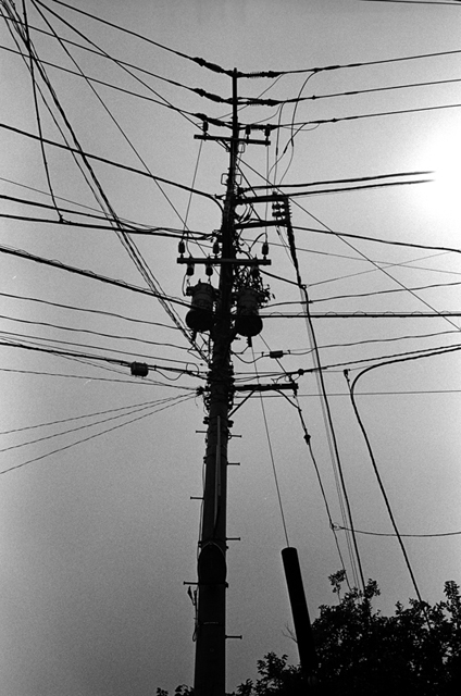 Uʐ^Ao f-2010.06.20-26Yamate-Honmoku-Oimachi-Nihonbashi-Ikon-GR28mmF2.8-400TX-004.jpg 2010.06.20-26 R<BR>{qE䒬E{<BR>IKON GR28/2.8<BR>400TX D76 1:1