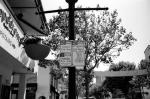 Uʐ^Ao 2010.09.13 09.19Monterey T3 400TX 020 2010.09.13-19 g[ T3 400TX D76 1:1