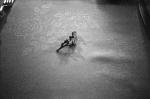 Uʐ^Ao 2011.02.11Yokohama T3 400TX 2steps 007 2011.02.11 l T3 400TX D76 1:1