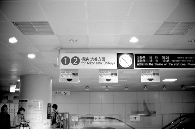 Uʐ^Ao f-2011.04.17Yokohama-Ikon-NOKTON35mmF1.4-ACROS100-011.jpg 2011.04.17<BR>l<BR>IKON NOKTON35/1.4<BR>ACROS100 D76 1:1