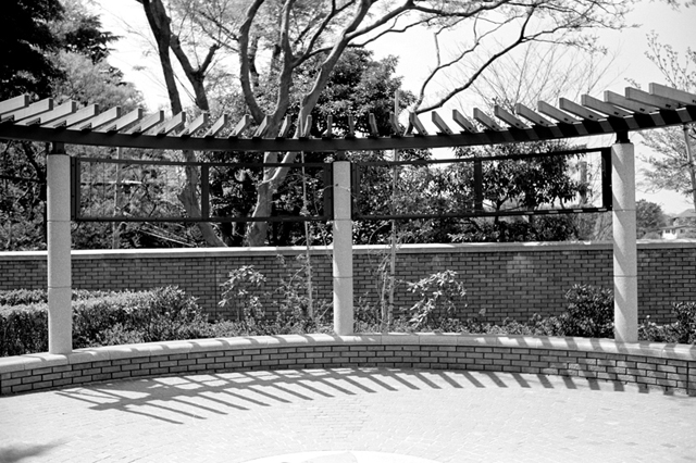 Uʐ^Ao f-2011.04.17Yokohama-Ikon-NOKTON35mmF1.4-ACROS100-014.jpg 2011.04.17<BR>l<BR>IKON NOKTON35/1.4<BR>ACROS100 D76 1:1