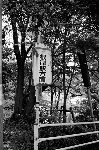 Uʐ^Ao f-2011.05.02Yokohama-Ikon-NOKTON35mmF1.2-400TX-016.jpg 2011.05.02<BR>l<BR>IKON NOKTON35/1.2<BR>400TX D76 1:1